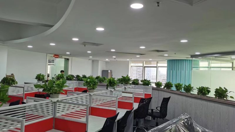 如何编制一份高质量可行性研究报告：实用步骤解析
